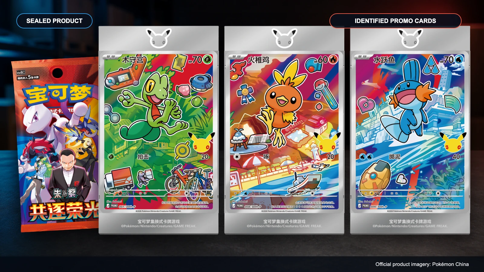 Pacchetto booster ufficiale Pokémon Cina accanto a Treecko, Torchic, e Mudkip carte promo in cornici di visualizzazione